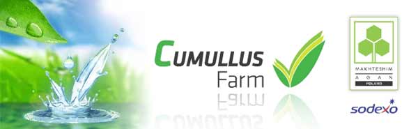 Cumullus-obrazek-grny